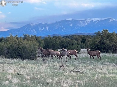 1840 Newton Rd, Pueblo, CO 81005 - photo 6