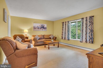 703 Old Limekiln Ln, Newport, PA 17074 - photo 4