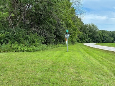 000 Petrolia Ln, Bridgeport, IL 62417 - photo 4