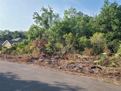 View toward nearby house