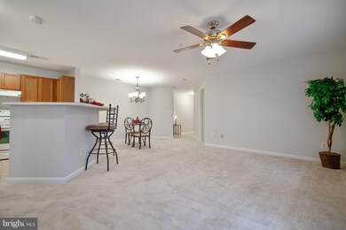 11009 Kinship Ct, Manassas, VA 20109 - photo 5