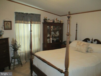 10707 Horseshoe Ln, Worton, MD 21678 - photo 7