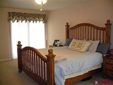 33 Camino Del Rio unit HEATHERWOOD VILLA CO, Gunnison, CO 81230 - photo 7