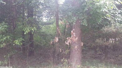 0 Mike's Cir unit 17016180, Heber Springs, AR 72543 - photo 2