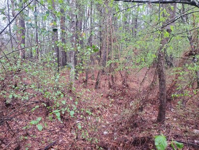 22631 Old Highway 105, Cleveland, TX 77328 - photo 3