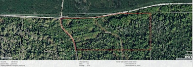 0 N County Line Rd unit 2058836, Perry, FL 32348 - photo 6