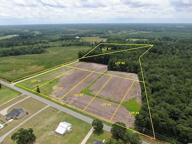 TBD Highway 308 unit Lot 7, Galivants Ferry, SC 29544 - photo 4