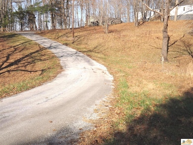 Lots 16R & 17R Runaway Dr, Fountain Run, KY 42133 - photo 3