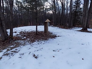 77 Fence Row Cir, Leroy, MI 49655 - photo 3