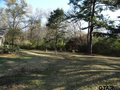 14061 County Road 291, Tyler, TX 75707 - photo 6