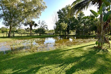 pond