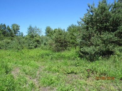 12985 California Rd, Sawyer, MI 49125 - photo 7