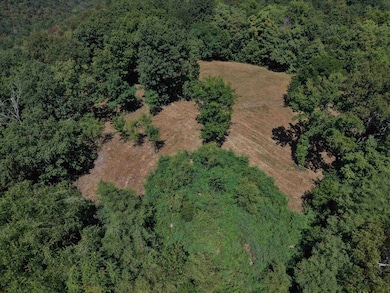 1168 Love Hollow Rd, Mount Pleasant, AR 72561 - photo 5