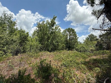 0 Snug St unit MFROK225184, North Port, FL 34286 - photo 6