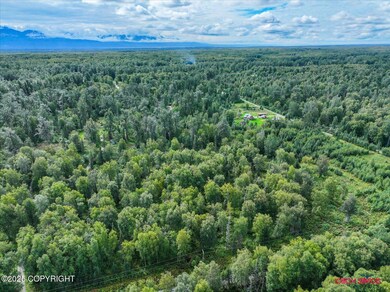 6114 E Altra Dr, Fishhook, AK 99645 - photo 5