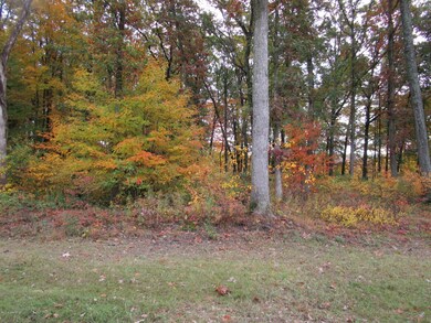 Pic 1