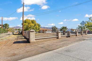 43-web-or-mls-IMG_8987