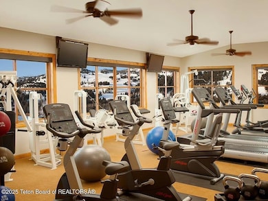 srlsgym