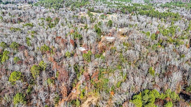 2805 Larue Ridge Rd, Dover, AR 72837 - photo 7