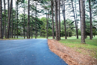 756 Cr 420, Poplar Bluff, MO 63901 - photo 5