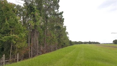 Rear fence line of property, Southern edge looking