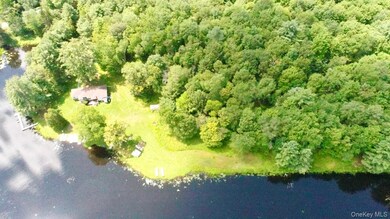 122 Jaketown Rd, Swan Lake, NY 12783 - photo 4