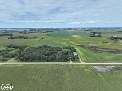 0 SW Corner 330th St 830th Ave, Ellendale, MN 56026 - photo 7