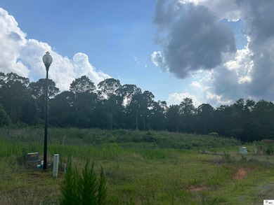 Lot 11 Ensenada Ln, West Monroe, LA 71292 - photo 4