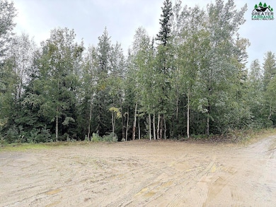 NHN Obsidian Ct, Goldstream, AK 99709 - photo 7