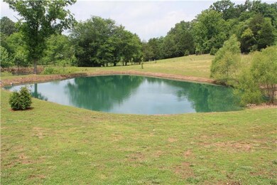 Pond