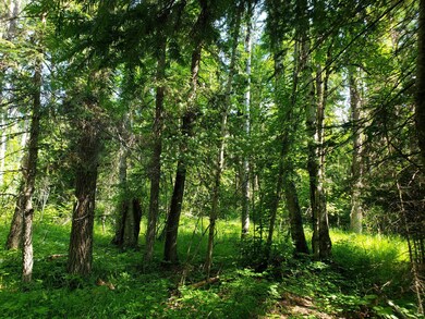 Nhn Mt Hwy 83, Swan Lake, MT 59911 - photo 5