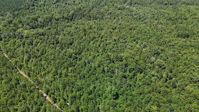 Shady Grove Road Lot unit Wp001, Saline, LA 71070 - photo 5