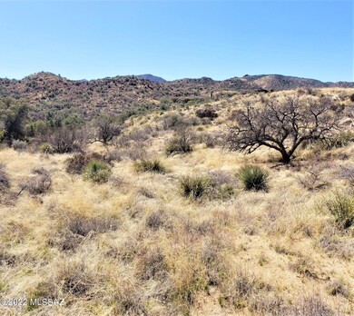 NATIONAL FOREST LAND IN YOUR BACK YARD
