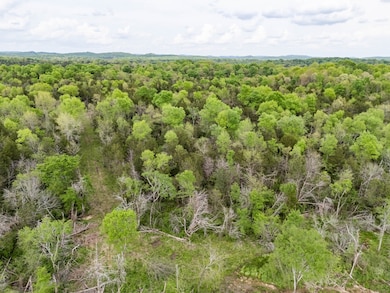 0 Kedron Road Tract 1, Columbia, TN 38401 - photo 4