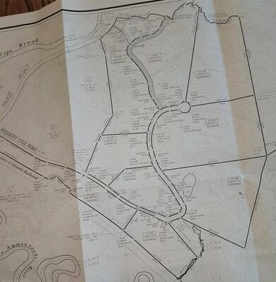 L34D Woodbury Cole Rd, Stark, NH 03582 - photo 6