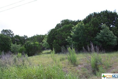 2404 Big Divide Rd, Copperas Cove, TX 76522 - photo 7