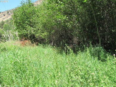 0 Salmon Way unit 21046740, Imnaha, OR 97842 - photo 2