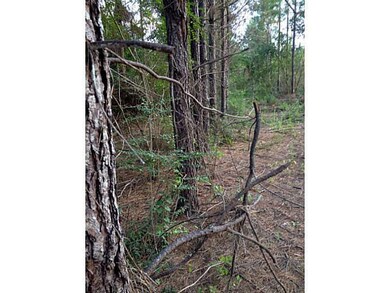 0 Chess Gerald Rd, Franklinton, LA 70438 - photo 3