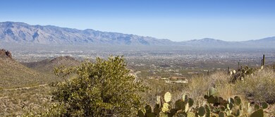 Panoramic