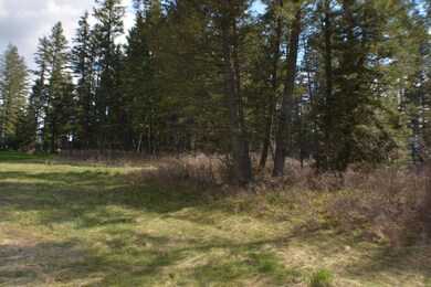 40 Wood Ridge Dr, Columbia Falls, MT 59912 - photo 6