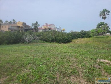 201 W Venus Ln unit 6, South Padre Island, TX 78597 - photo 7