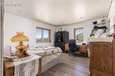 345 Dead Mule Ln, Westcliffe, CO 81252 - photo 6