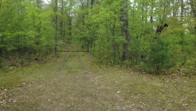 20250519_135652