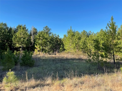 TBD Louisiana 155, Coushatta, LA 71019 - photo 2