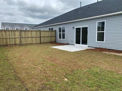 DMC 79 Backyard
