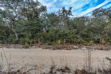 0 NE 233rd Ln unit 25700426, Fort Mc Coy, FL 32134 - photo 2