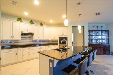 14313 Romeo Blvd, Wimauma, FL 33598 - photo 3