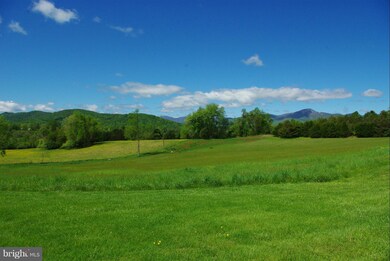 3594 Slate Mills Rd, Sperryville, VA 22740 - photo 6