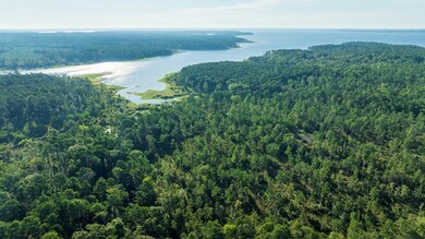 24398 Lot 17 Fm 3173, Broaddus, TX 75929 - photo 4