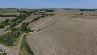 Lohstreter, Craig etal video 2025